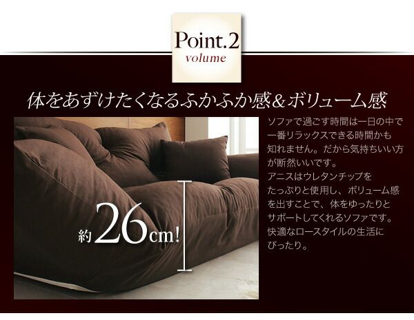 スーパSALE10倍＆4時間限定10％OFF フロアソファ フロアカウチソファ 2P