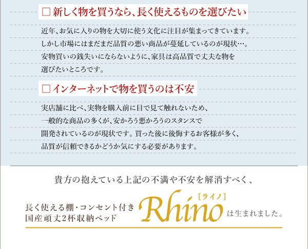 スーパSALE10倍＆4時間限定10％OFF お客様組立 長く使える棚・コンセント付国産頑丈2杯収納ベッド ベッドフレームのみ シングル