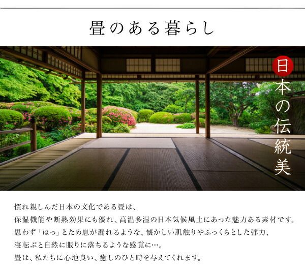 スーパSALE10倍＆4時間限定10％OFF お客様組立 美草・日本製 小上がりにもなるモダンデザイン畳収納ベッド ワイド 40mm厚 シングル