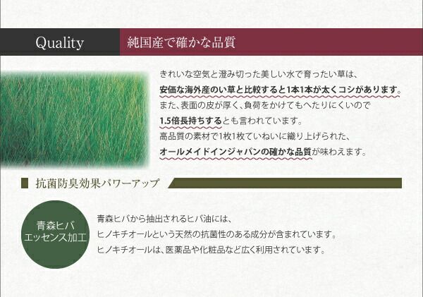 畳 ユニット 置き畳 ヘリ 縁なし畳 フローリング畳 マット 琉球 琉球畳風 たたみ タタミ カーペット 2枚 い草 和モダン 日本製 70×70 い草畳表 日本製 赤ちゃん ヘリなし 2枚入り