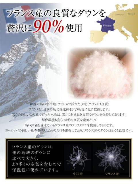 スーパSALE10倍＆4時間限定10％OFF MITAS寝具SELECT 羽毛布団 日本製 防カビ消臭 エクセルゴールドラベル洗えるフランス産ダックダウン90％10点セット ベッドタイプ キング10点セット
