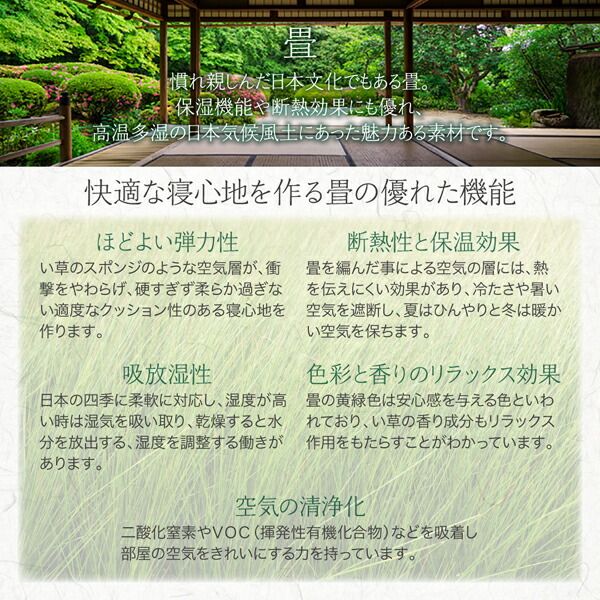 スーパSALE10倍＆4時間限定10％OFF お客様組立 シンプルモダンデザイン大容量収納日本製棚付きガス圧式跳ね上げ畳ベッド 国産畳 シングル 深さグランド