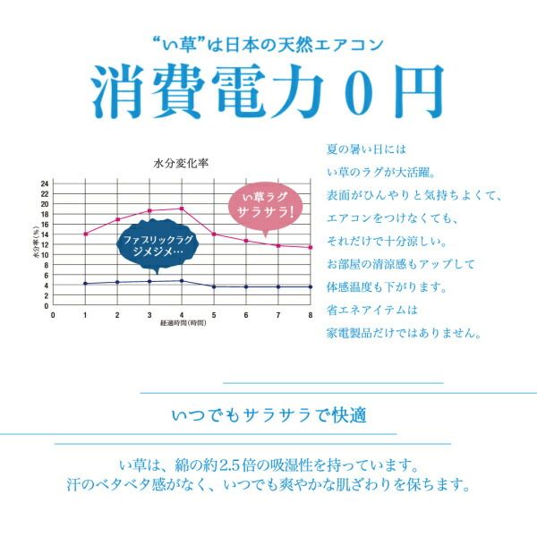 スーパSALE10倍＆4時間限定10％OFF 自然素材ラグ 掛川織国産デザインい草ラグ 不織布なし 191×191cm