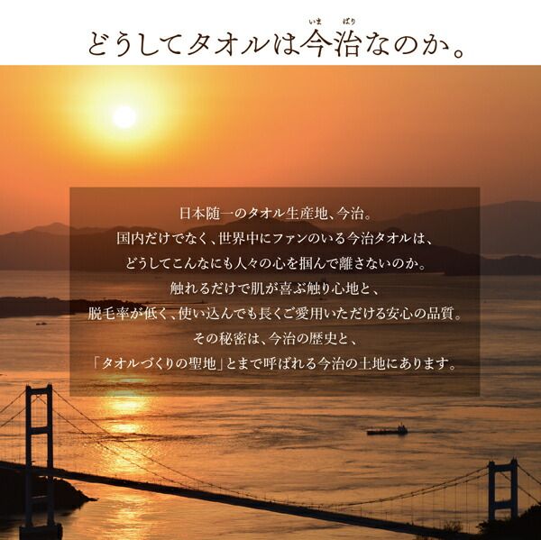スーパSALE10倍＆4時間限定10％OFF MITAS寝具SELECT ベッドパッド 敷きパッド 今治生まれの 綿100％ 洗える ふっくらタオルの贅沢カバーリングシリーズ 敷きパッド単品 クイーン