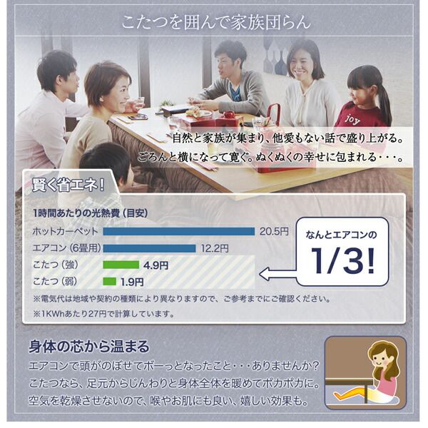 スーパSALE10倍＆4時間限定10％OFF クッション おしゃれ コットン 100%洗えるデニム調こたつ布団シリーズ クッション単品 無地
