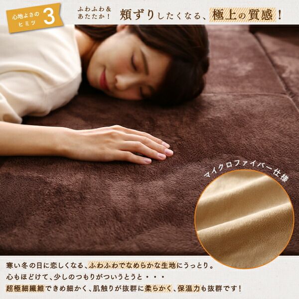 スーパSALE10倍＆4時間限定10％OFF ラグ カバーが洗えて年中清潔 こたつに合わせるマイクロファイバークッションラグ 2点セット（ラグ＋カバー） 小 200×174