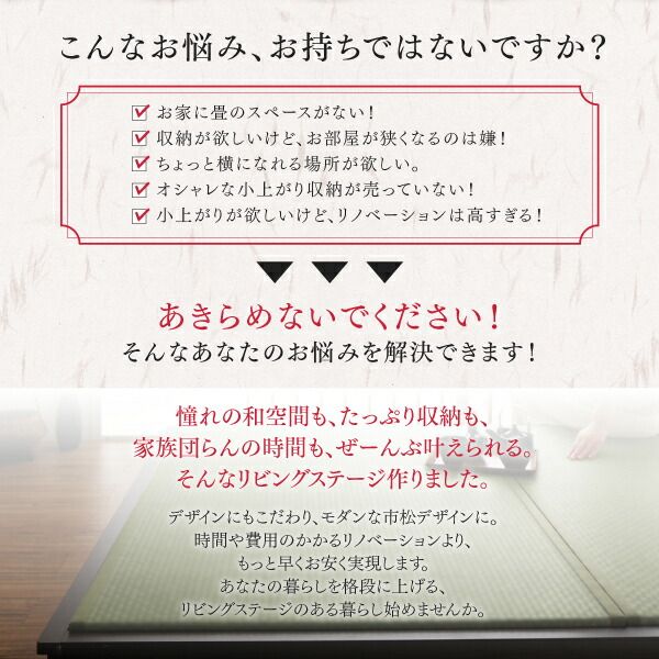 リビング収納 チェスト キャビネット タンス テレビ台 日本製 収納付きデザイン畳リビングステージ 畳ボックス収納 60×120cm ロータイプ