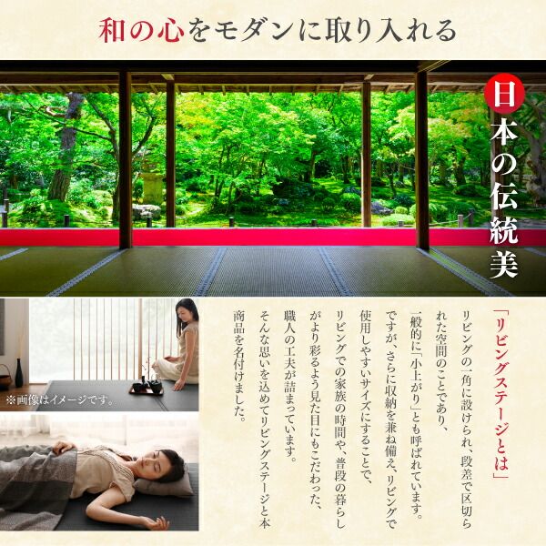 リビング収納 チェスト キャビネット タンス テレビ台 国産 収納付きデザイン美草畳リビングステージ 畳ボックス収納 180×180cm ロータイプ