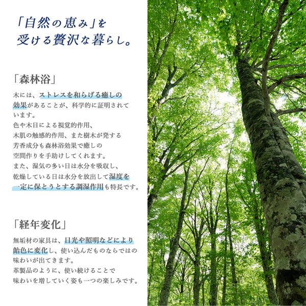 スーパSALE10倍＆4時間限定10％OFF ベンチ ダイニング 天然木モダンデザインダイニングシリーズ ベンチ単品 2P