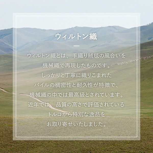 スーパSALE10倍＆4時間限定10％OFF ラグ トルコ製ウィルトン織デザインラグ 80×140cm