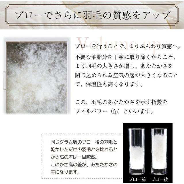 スーパSALE10倍＆4時間限定10％OFF MITAS寝具SELECT 羽毛布団 クイーン 羽毛 布団 日本製 防ダニ 国産 国内洗浄 春用 秋用 快適 羽毛ふとん 合い掛け布団 掛け布団 掛布団 抗菌  三ツ星ニューゴールドラベル フィルパワー 550fp 合掛け 単品 クイーン
