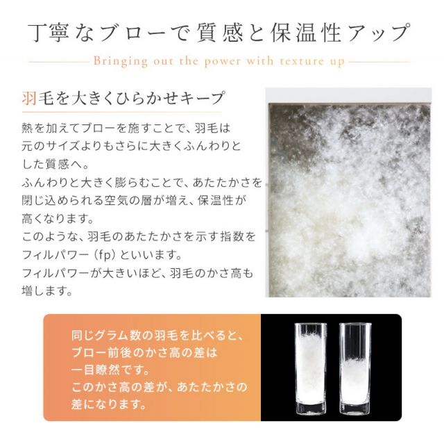 スーパSALE10倍＆4時間限定10％OFF MITAS寝具SELECT 羽毛布団 セミダブル 羽毛 布団 日本製 防ダニ 国産 国内洗浄 軽い 暖かい 清潔 掛布団 SEK 羽毛布団袋 抗菌防臭 セミダブル軽い 立体キルト ニューゴールドラベル 550fp 羽毛ふとん 掛け布団 セミダブル