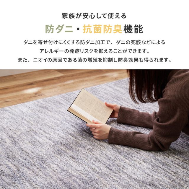 ラグ 洗える おしゃれ ラグマット 滑り止め付 絨毯 マット ラグカーペット カーペット 秋 冬 ウォッシャブル 洗えるラグ ホットカーペット対応 リビング 床暖房対応 高機能ラグ 防ダニ 抗菌 防臭 防音 防炎 制電 日本製 ナイロンラグ 円形 直径180cm