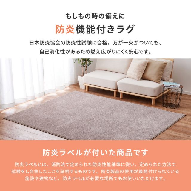 ラグ 洗える ラグマット 絨毯 マット ラグカーペット カーペット おしゃれ 秋 冬 ウォッシャブル 洗えるラグ ホットカーペット対応 リビング 床暖房対応 国産高機能ラグ 防ダニ 抗菌 防臭 防音 防炎 制電 日本製 ナイロンラグ 無地 190×190cm