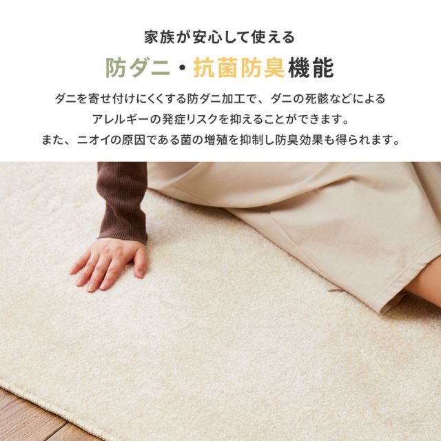 ラグ 洗える ラグマット 絨毯 マット ラグカーペット カーペット おしゃれ 秋 冬 ウォッシャブル 洗えるラグ ホットカーペット対応 リビング 床暖房対応 国産高機能ラグ 防ダニ 抗菌 防臭 防音 防炎 制電 日本製 ナイロンラグ 無地 円形 直径180cm