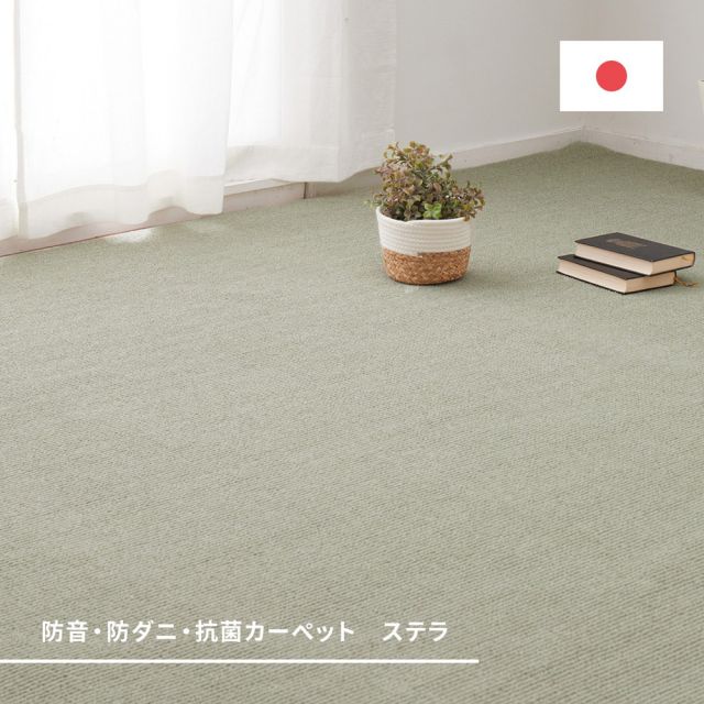 スーパSALE10倍＆4時間限定10％OFF カーペット ラグ ラグマット 絨毯 マット ラグカーペット おしゃれ ラグ 秋 冬 ホットカーペット対応 リビング 床暖房対応 敷き詰めカーペット 防音 防ダニ 抗菌 防臭 無地 シンプル 日本製 江戸間 6畳