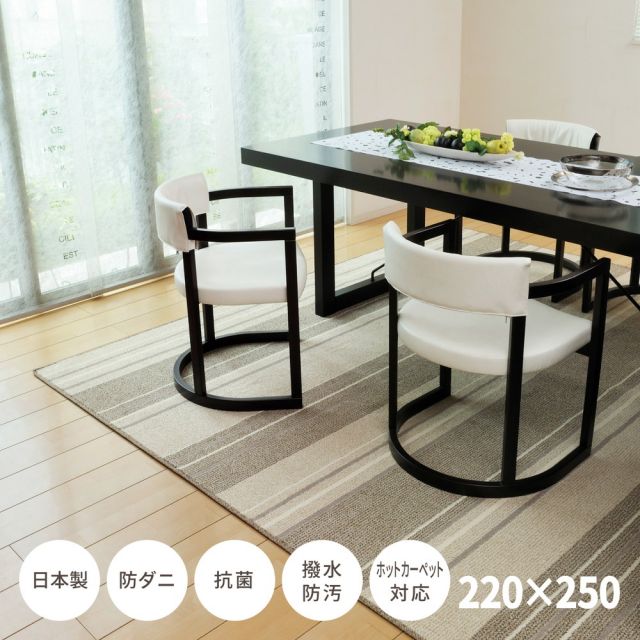 スーパSALE10倍＆4時間限定10％OFF ラグ 洗える おしゃれ ラグマット 絨毯 マット ラグカーペット カーペット ラグ 秋 冬 ウォッシャブル 洗えるラグ ホットカーペット対応 リビング 床暖房対応 撥水機能付きの日本製ダイニングラグ 220×250cm