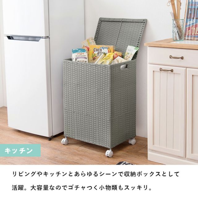 スーパSALE10倍＆4時間限定10％OFF キャスター付収納ボックス-RUD 43×29×58cm