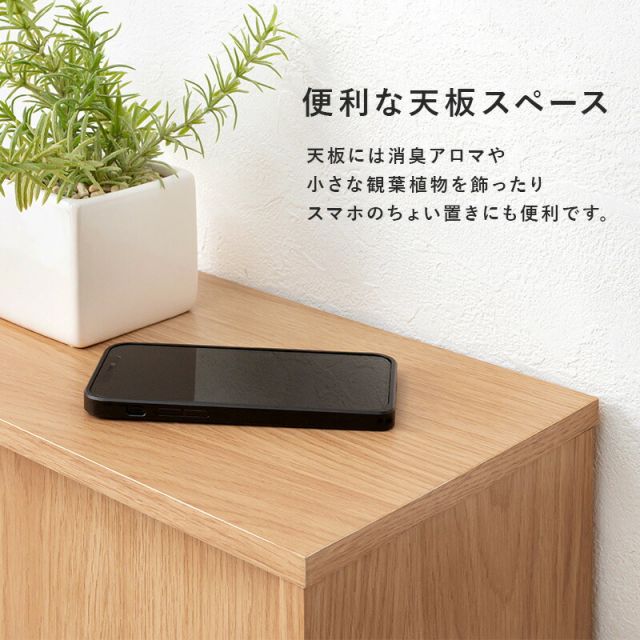 スーパSALE10倍＆4時間限定10％OFF トイレラック-RTR 幅59×奥行19.5cm
