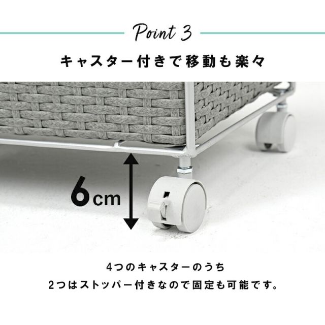 スーパSALE10倍＆4時間限定10％OFF ランドリー 通常タイプ 40.5×30.5×85cm