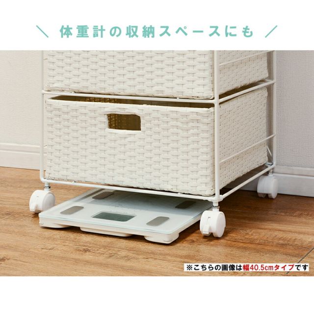 スーパSALE10倍＆4時間限定10％OFF ランドリー 通常タイプ 60.5×30.5×85cm