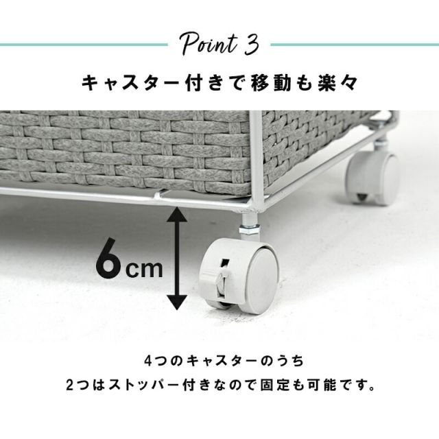 スーパSALE10倍＆4時間限定10％OFF ランドリー/ 2列タイプ 5杯タイプ 70.5×30.5×79cm