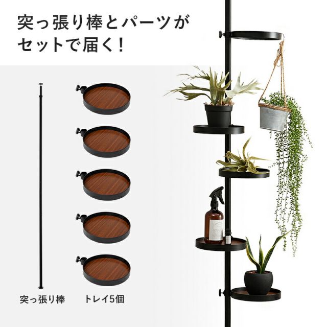スーパSALE10倍＆4時間限定10％OFF 突っ張り棒＆パーツ_6点セット 丸型タイプ 43×43×187cm