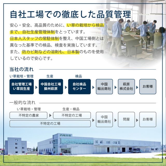 アジアンテイストの軽量置き畳 南風 6枚セット 82×82×2.5cm