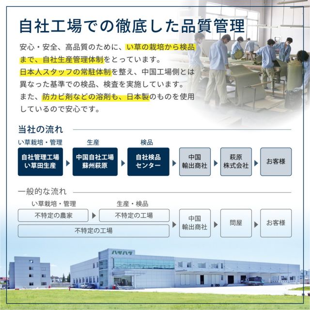 スーパSALE10倍＆4時間限定10％OFF い草カーペット 白馬（はくば） 本間 8畳（382×382）