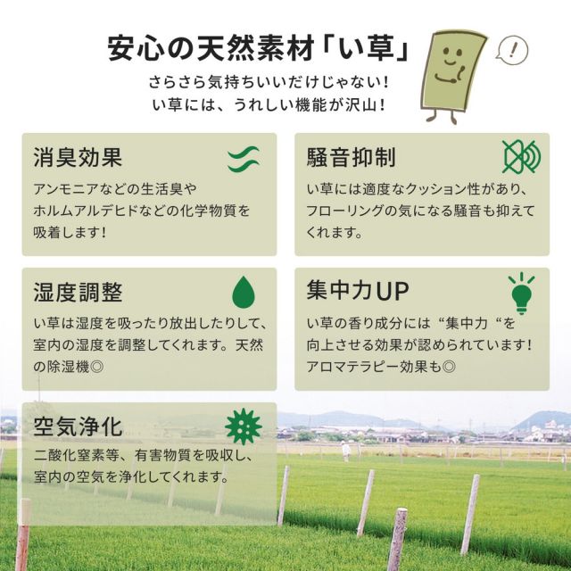 スーパSALE10倍＆4時間限定10％OFF い草カーペット 柳川（やながわ） 本間 10帖（477×382）