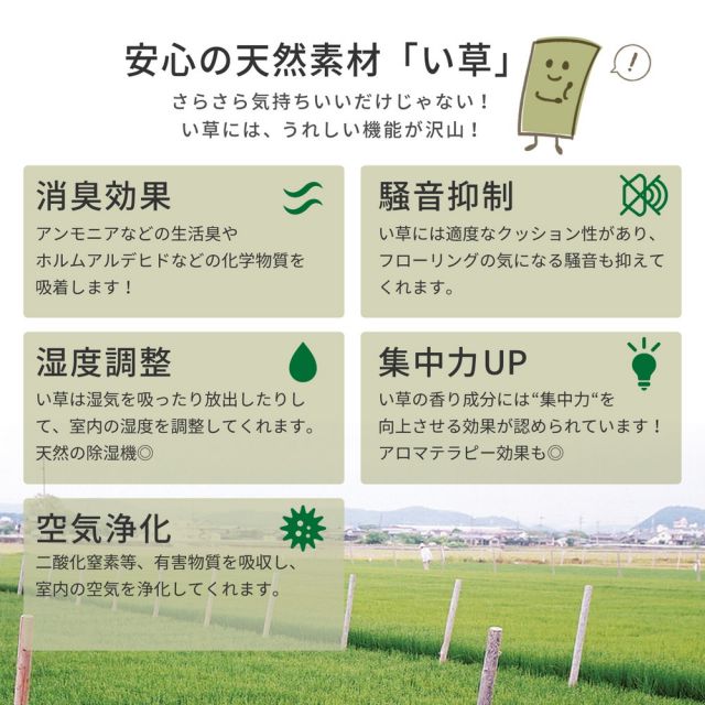 スーパSALE10倍＆4時間限定10％OFF い草ラグ KOGIN 191×250cm