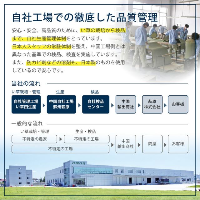 スーパSALE10倍＆4時間限定10％OFF い草ラグ KOGIN 191×250cm