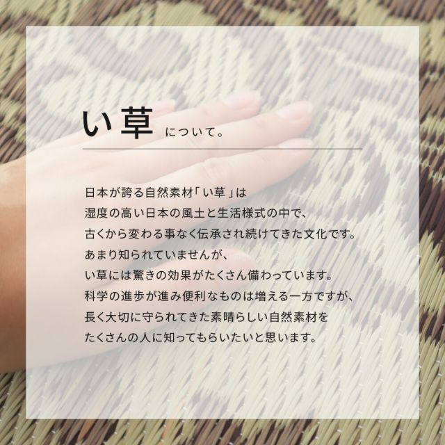 スーパSALE10倍＆4時間限定10％OFF い草ラグ カノン 230×330cm