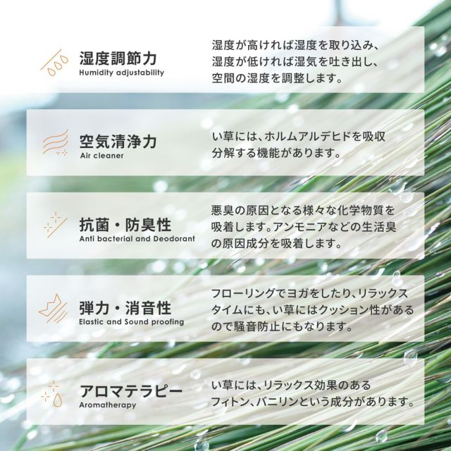 スーパSALE10倍＆4時間限定10％OFF い草ラグ カノン 230×330cm