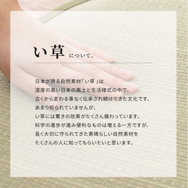 スーパSALE10倍＆4時間限定10％OFF い草ラグ ギャッベグラス 176×220cm