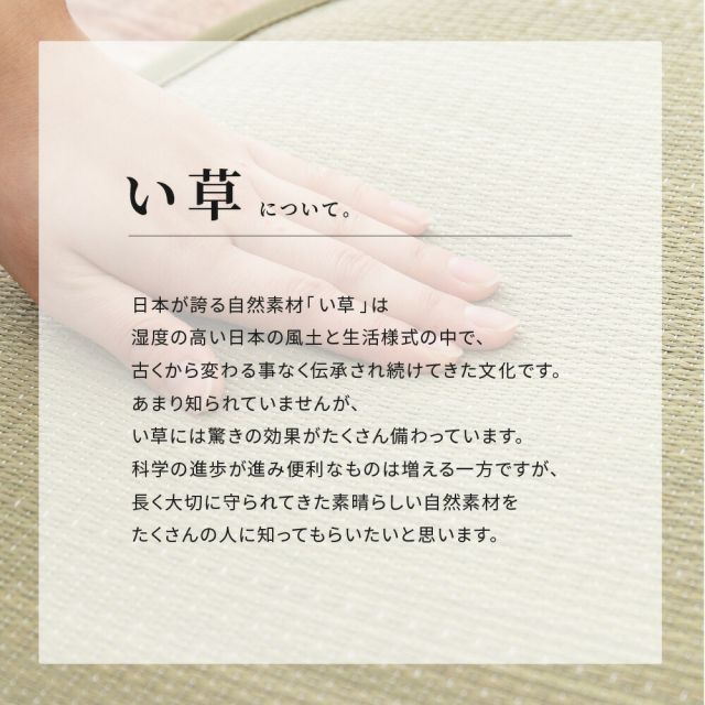 スーパSALE10倍＆4時間限定10％OFF い草ラグ キューティーキャット 176×230cm