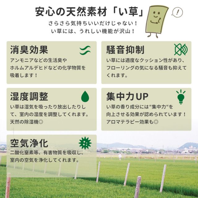 スーパSALE10倍＆4時間限定10％OFF い草ラグ デニムパッチ はっ水機能付き 70×120cm