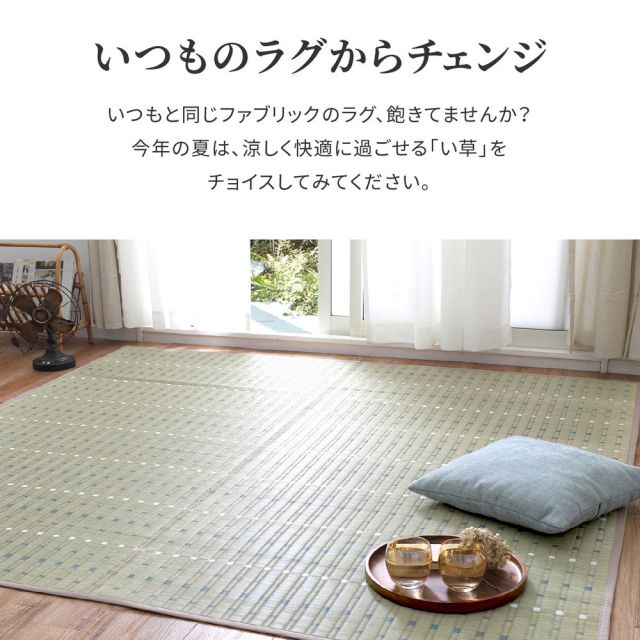 スーパSALE10倍＆4時間限定10％OFF い草ラグ 琴の音 191×240cm