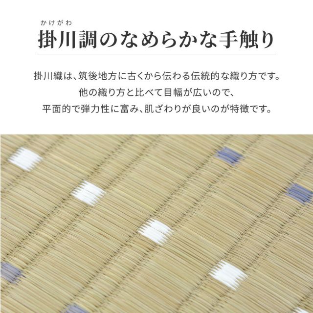 スーパSALE10倍＆4時間限定10％OFF い草ラグ 琴の音 191×240cm