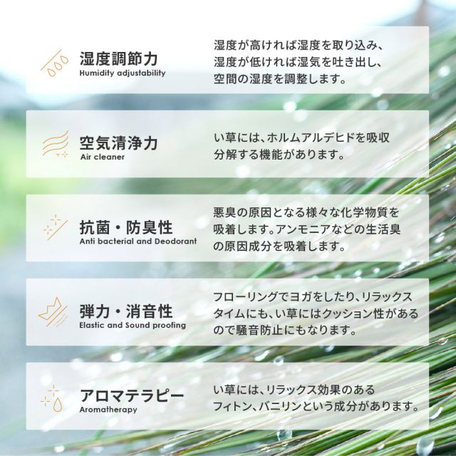 スーパSALE10倍＆4時間限定10％OFF い草ラグ 南風 191×240cm