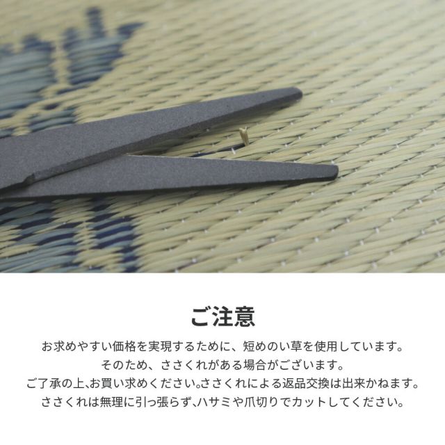 スーパSALE10倍＆4時間限定10％OFF い草ラグ 涼水 230×330cm