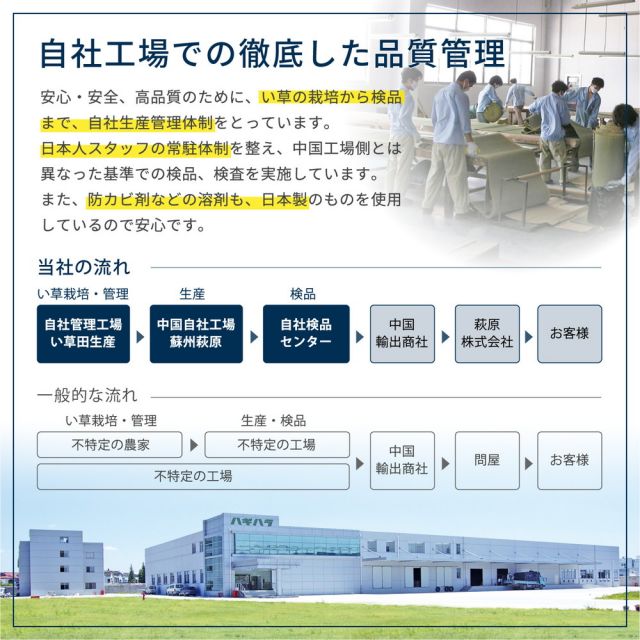 スーパSALE10倍＆4時間限定10％OFF フリーカット裏付き い草カーペット みすず 江戸間 6帖（261×352）