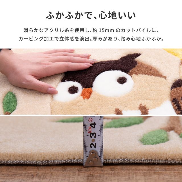 玄関マット グーフォ 50×80cm