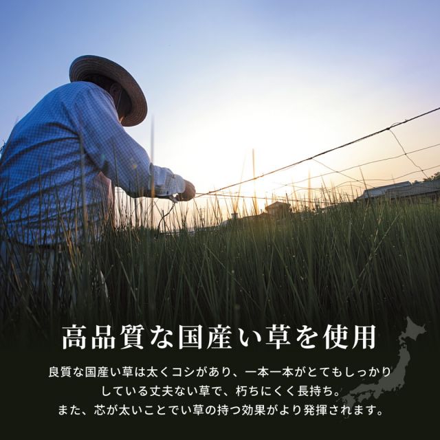 スーパSALE10倍＆4時間限定10％OFF 国産い草カーペット 昭和絣 58間 4.5畳（264×264）