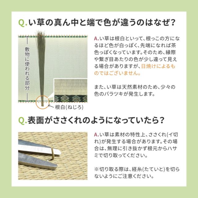 スーパSALE10倍＆4時間限定10％OFF 国産い草カーペット 琥珀 本間 3帖（191×286）