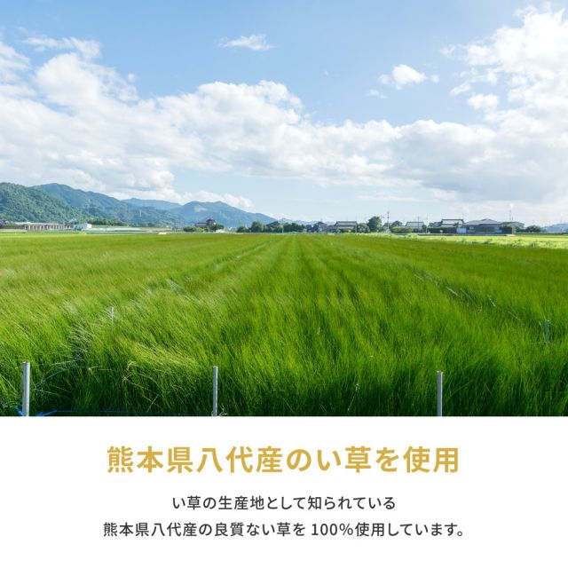 スーパSALE10倍＆4時間限定10％OFF 国産い草カーペット 琥珀 本間 10帖（382×477）