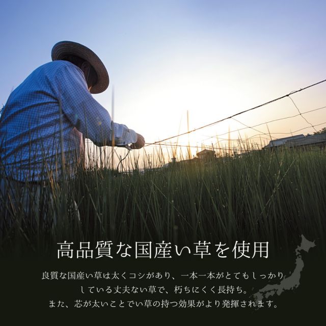 スーパSALE10倍＆4時間限定10％OFF 国産い草ラグ（裏貼り） エルモード  191×250cm