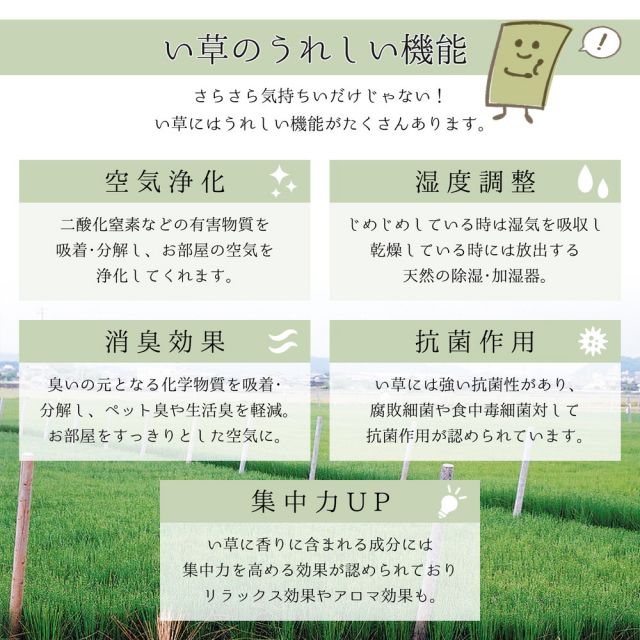 スーパSALE10倍＆4時間限定10％OFF 国産い草ラグ（裏貼り） エルモード  191×250cm