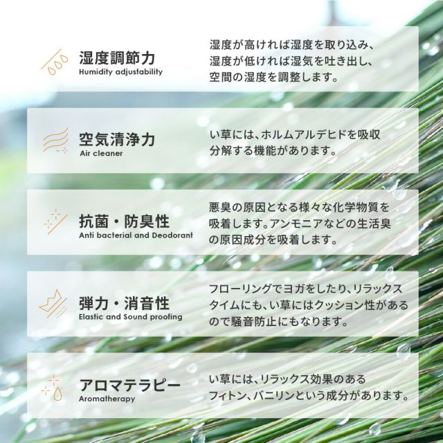 スーパSALE10倍＆4時間限定10％OFF 三重織 い草ラグ コンチェルト 191×250cm