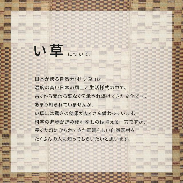 スーパSALE10倍＆4時間限定10％OFF 収納簡単 い草ふっくらラグ キハチ 240×240cm